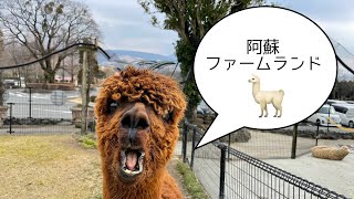 熊本県　阿蘇ファームランドに行ってみた🦙