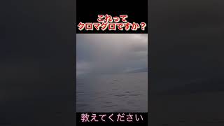 ゴムボートクロマグロ？若狭湾にー？教えてください‼️やばすぎる一発で切られた#ゴムボート #釣り #ジギング #クロマグロ#マグロナブラ#クロマグロキャスティング#ミニボート#海釣り#釣り