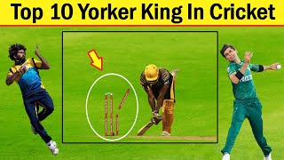 Top 10 Most Dangerous Yorker Masters In Cricket History Ever | Shaheen Afridi Yorkers
