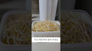 🥕콩나물을 오래보관 하려면 이방법대로 해보세요!🥕