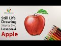Realistic Apple Drawing Colored Pencil | Still life Drawing For Beginners | Lesson 4 | Step By Step