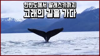 세계 고고학계가 깜짝 놀란 발굴! 한반도에서 알래스카까지 - 고래의 길을 가다 (KBS_2014.11.01 방송)