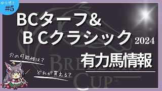 【BCターフ\u0026BCクラシック 2024】やはり、海外の壁は高いのか！？海外馬の有力馬を解説していきます！