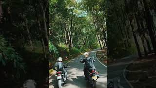 Athirapally - Valparai Road