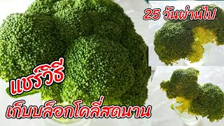 แชร์วิธีเก็บบล็อคโคลี่ให้สด กรอบ นานเป็นเดือนเคล็ดลับง่ายๆไกล้ตัว? #How to keep Broccoli Fresh