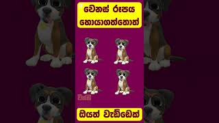 වෙනස් රූපය හෙව්වොත් ඔයත් වැඩ්ඩෙක් || Select the different picture ❤