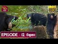 Sobadhara - Sri Lanka Wildlife Documentary| 2019-06-07 | Bear | වලහා