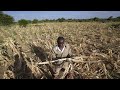Severe drought and famine in southern Africa leaves some 20 million facing hunger