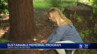Families opt for sustainable burial option in Santa Cruz Mountains