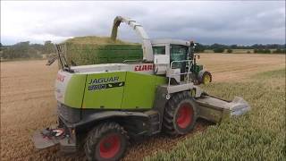 Wholecrop Silage 2018 - John Salley \u0026 Sons Agri Contractors (HD)