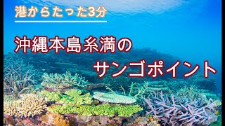 ウエンチ/沖縄本島糸満のダイビングポイント