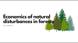 IBFRA Webinar - Economics of natural disturbances in forests