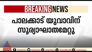 പാലക്കാട് യുവാവിന് സൂര്യാഘാതമേറ്റു; പൊള്ളലേറ്റത് പെയിന്റിംഗ് ജോലിക്കിടെ