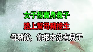 民間故事：女子想賣身救子，路上幫母豬接生，母豬說，你根本沒有兒子