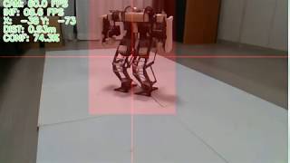 Biped Robot Detector using Deep Learning for Robo-One