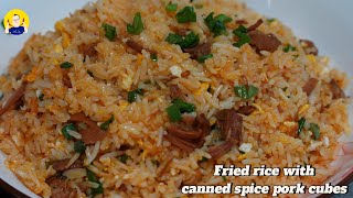 Fried rice with canned spice pork cubes | 五香肉丁炒饭