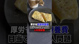 【厚労省】高額療養費目当て外国人を\