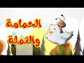 الحمامة والنملة - طيور بيبي