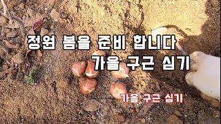 아름다운 봄정원을 위해 구근을 심기~    2022년 마지막 인사 :)