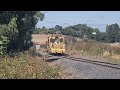 flashback tasrail tt7 br 3 trafalgar lane 27 02 2023