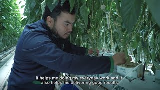 How Priva's irrigation management is helping Geopónica Mexico