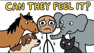 Do Animals Know When You're Sad?