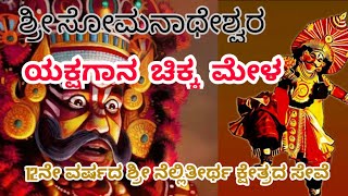 NELLITEERTHA ಶ್ರೀ ಸೋಮನಾಥೇಶ್ವರ ಯಕ್ಷಗಾನ ಚಿಕ್ಕ ಮೇಳ 🙏🙏