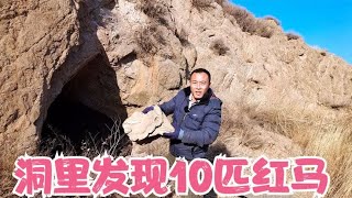 山西大山里悬崖上，发现4个古代土匪洞，里面竟然隐藏10匹红马