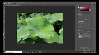 สอนการใช้โปรแกรม Adobe Photoshop EP. 3 || สร้างหยดน้ำบนใบบัว