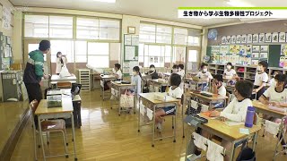 市政広報番組ウィークリーひめじ（令和4年5月20日～令和4年5月26日放送分）