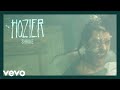 Hozier - Shrike (Audio)