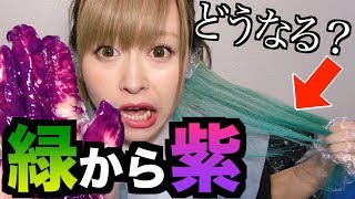 【ヘアカラー】緑から紫を塗ってみた。