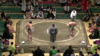 旭日松-北太樹/2017.5.24(30)/asahisho-kitataiki/day11 #sumo