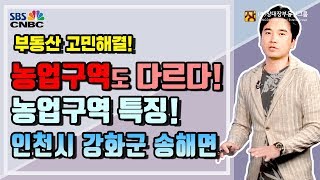 [부동산소액투자/부동산전망] 인천시 강화군 송해면 임야지역 향후 전망, 농업구역 특징!