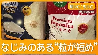 安くておいしい…ベトナム“日本米”銀行が販売　課題乗り越え実現【知ってもっと】【グッド！モーニング】(2024年11月29日)