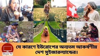 সুইজারল্যান্ডের গ্রামগুলো কেন এত অদ্ভুত সুন্দর? Villages In Switzerland | Divya Tv |