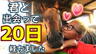 1ヶ月前まで現役だった競走馬を引き取って20日。初めての場所でオドオドしていた彼がここまで心を開いてくれました。『引退競走馬のセカンドライフ』【ツルマルボーイ様のシモベ】