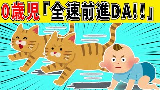 【ほのぼの2ch】2匹の猫を全力で追いかけた0歳児の悲劇【ゆっくり】