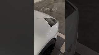 Lamborghini murcicelago in Moscow parking!