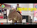 Dinosaurs in Qatar - Ameen Toys