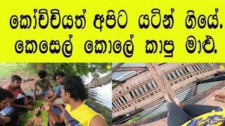 රසම කෑම උදේට කෑවේ | සුන්දර ගැමි චාරිකාව | Camping