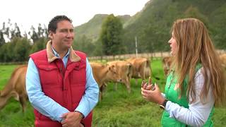 LA RAZA JERSEY EN EMPRESARIOS DEL CAMPO EN ALIANZA CON ASOJERSEY COLOMBIA