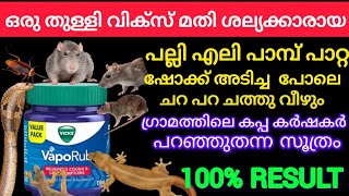 എലി പല്ലി പാറ്റ പാമ്പ് ഷോക്ക് അടിച്ച പോലെചത്തുവീഴും ഒരു തുള്ളി വിക്സ് മതി|Get rid off rat and lizard