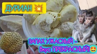 Распаковка дуриана. Фрукт, который сводит с ума! Не пропустите!🤩🤩🤩