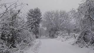 Walk in Goritsa village, Popovo. First snow 2020, с. горица, попово פופובו,  כפר גוריצה