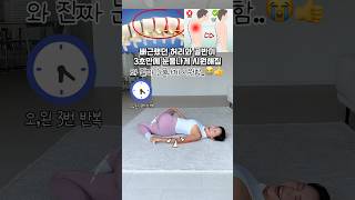 척추가 놀랍게 시원해집니다✨#흥둥이홈트 #흥둥이 #workout #홈트레이닝