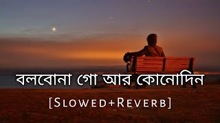 Bolbo Na Go Ar Kono Din | Slowed And Reverb | Baul Sukumar | Bengali Lofi Song | 10 PM BENGALI LOFI