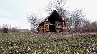 ИЗ ПОДВАЛА В НОВЫЙ ДОМ. ЭТОТ РАЗВАЛЕННЫЙ ДОМ БОЛЬШЕ НЕ БУДЕТ ПРЕЖНИМ. СБОРКА ДОМА НА НОВОМ МЕСТЕ ч.2