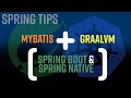 Spring Tips: Spring Native and MyBatis