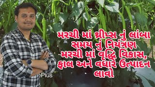 મરચી માં થ્રીપ્સ ભગાવો અને વૃદ્ધિ,વિકાસ,ફાલ,માલ લગાવો|| marchi thrips,growth,flowering,production